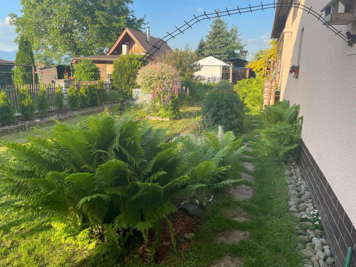 Apartment Privat Luna